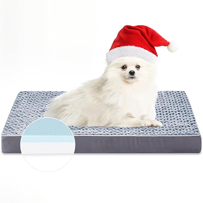 Pet Royale Orthopedic Foam Bed
